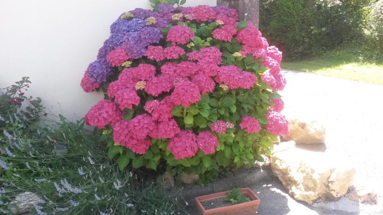 Rose View Cottage Le Cambout Екстериор снимка
